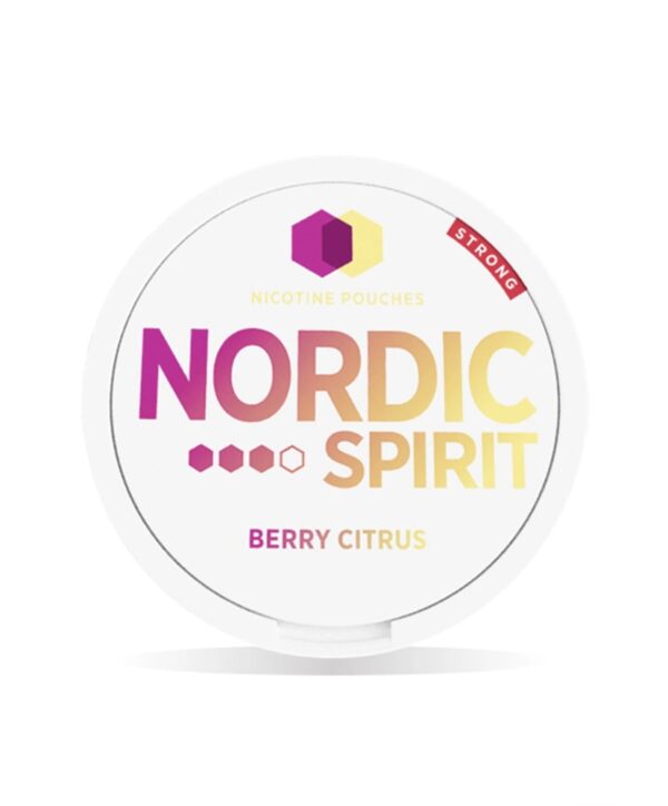 NORDIC SPIRIT NICOTINE POUCHES - Image 2