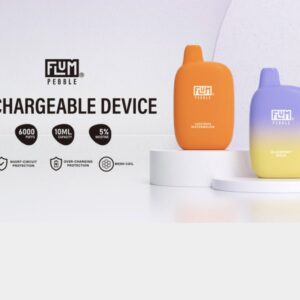 Flum Pebbles 6000 Puffs