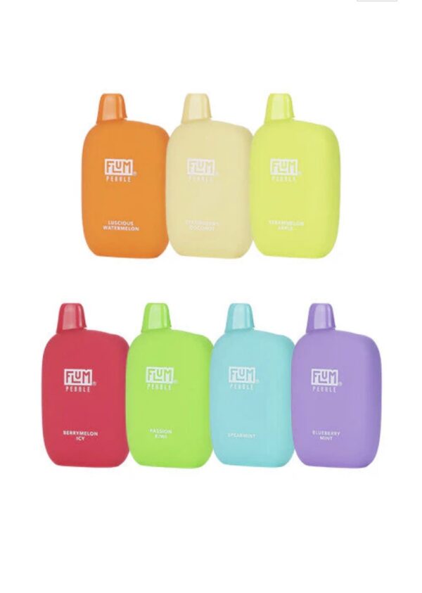 Flum Pebble 6000 puffs Variety Pack (10 pcs)