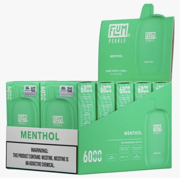 Menthol 6000 puffs (10 pack)