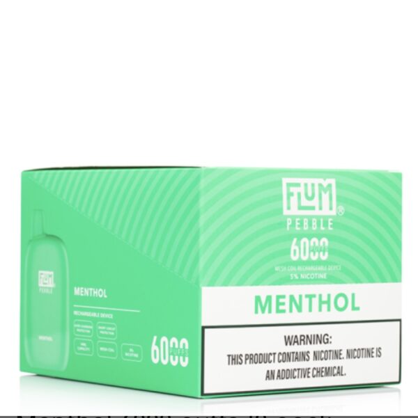 Menthol 6000 puffs (10 pack) - Image 2