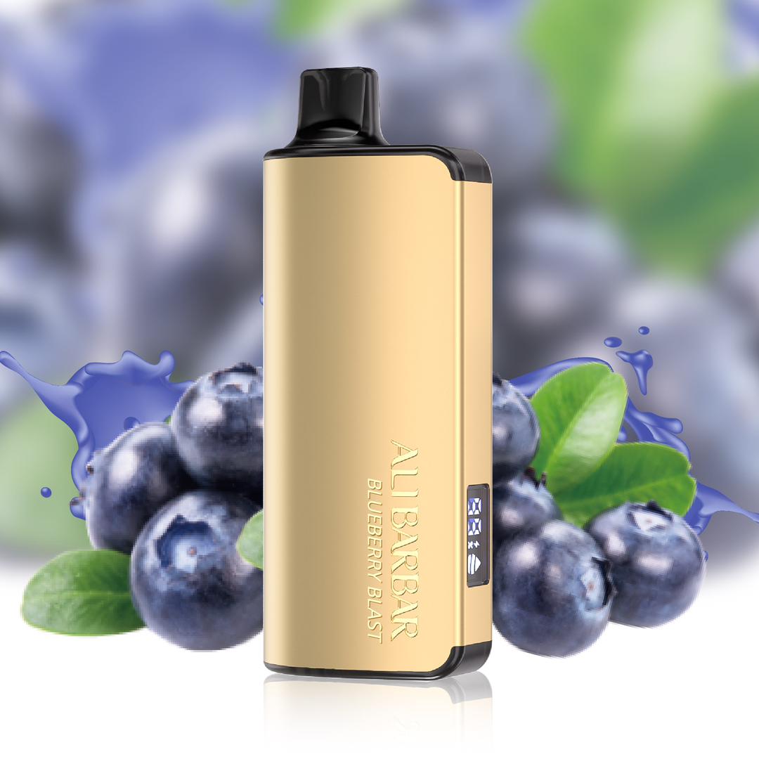 ALIBARBAR INGOT 9000 PUFF – BLUEBERRY BLAST